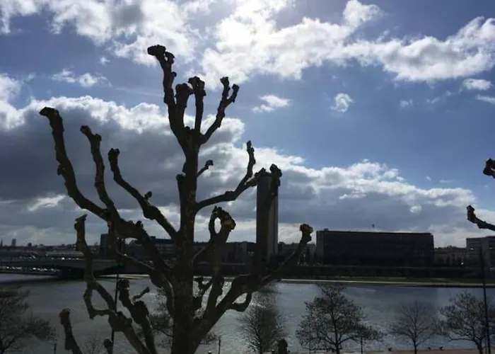 La Cathedrale - Vue Sur Seine